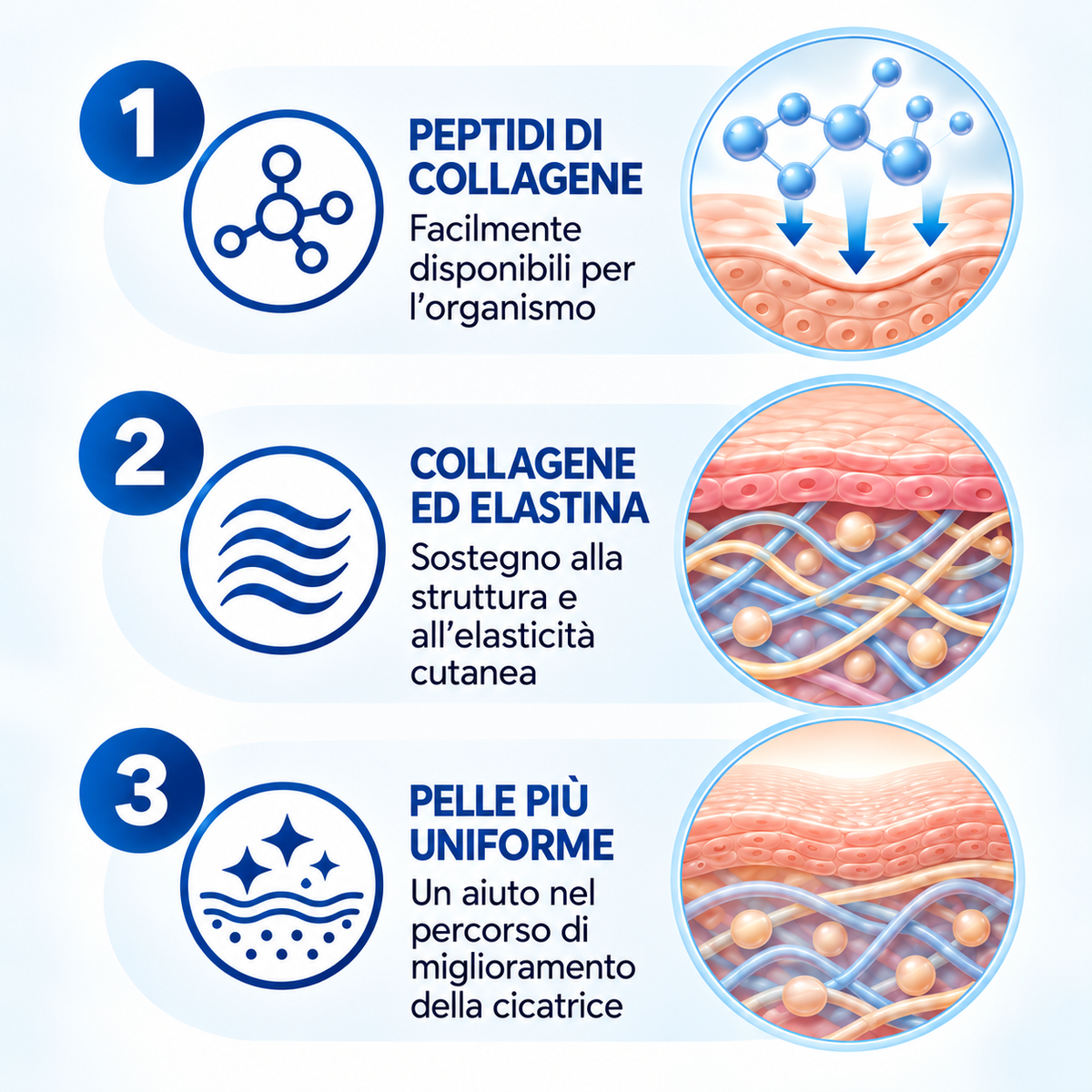 Scardimmer Collagene Idrolizzato Puro - Integratore Alimentare per Cicatrici