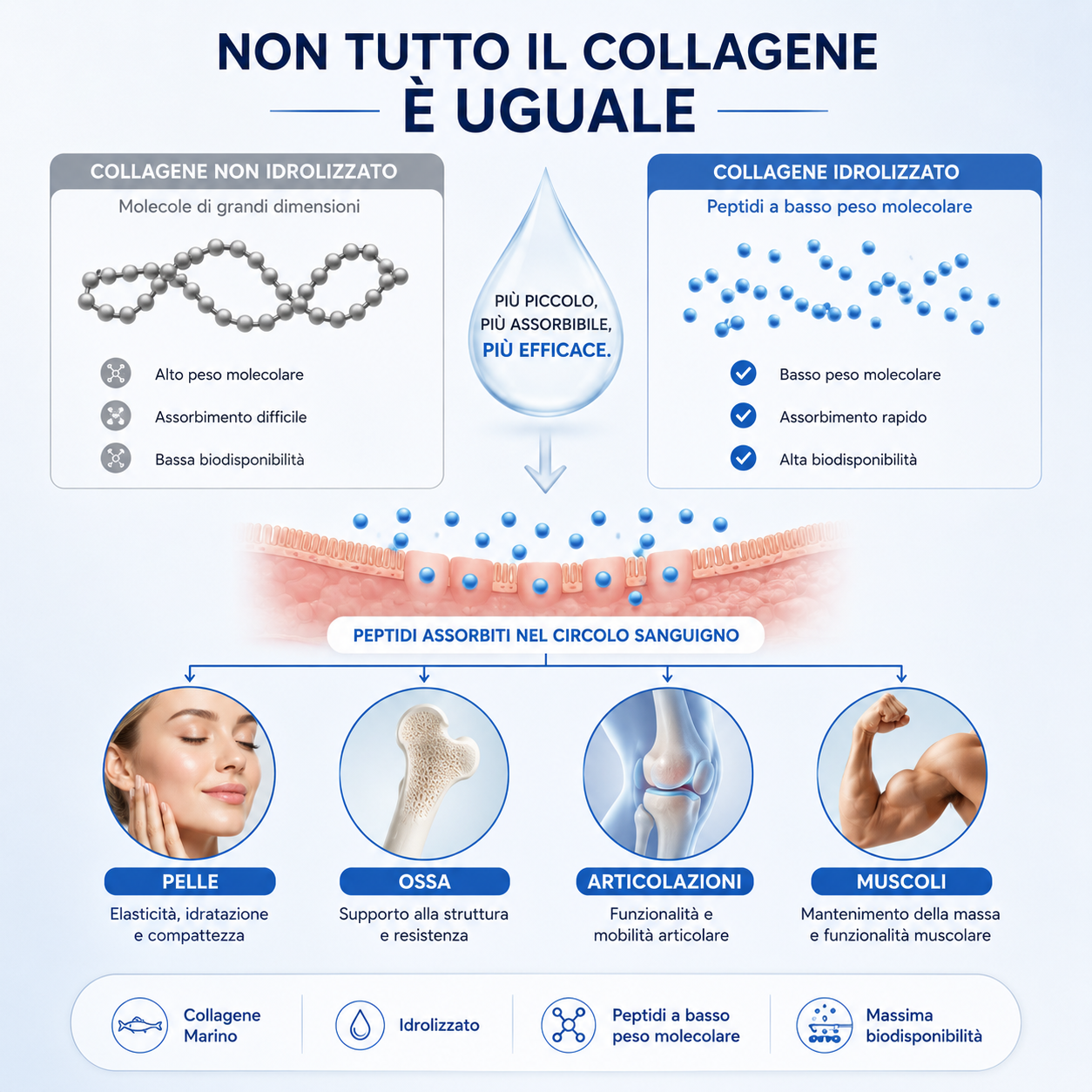 BEAUTY & BONES - Collagene Idrolizzato Marino 100%